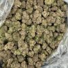 Bolo Runtz THCA Premium Flower