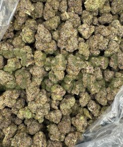 Bolo Runtz THCA Premium Flower