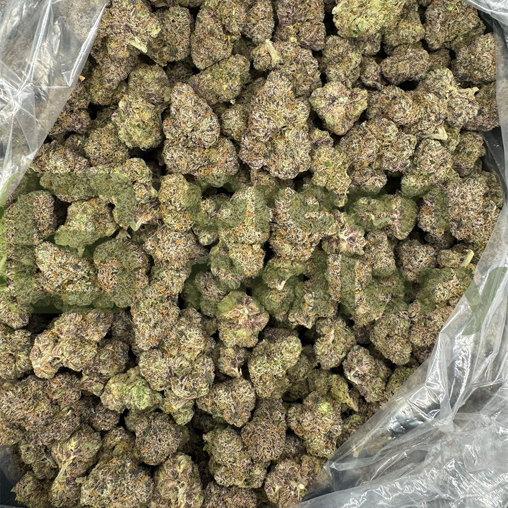 Bolo Runtz THCA Premium Flower