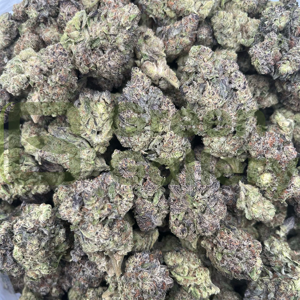 Oreo Blizzard THCA Premium Flower