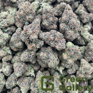 Legend OG THCA Premium Flower