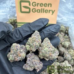 Lemon Cherry Gelato THCA Premium Flower