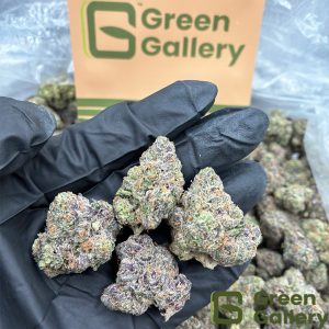 Lemon Cherry Gelato THCA Premium Flower