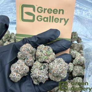 Presidential Purple THCA Premium Flower