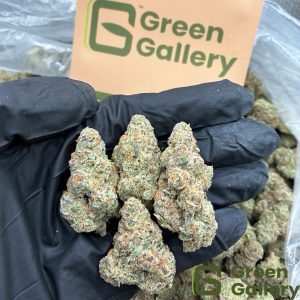 Sour OG THCA Premium Flower